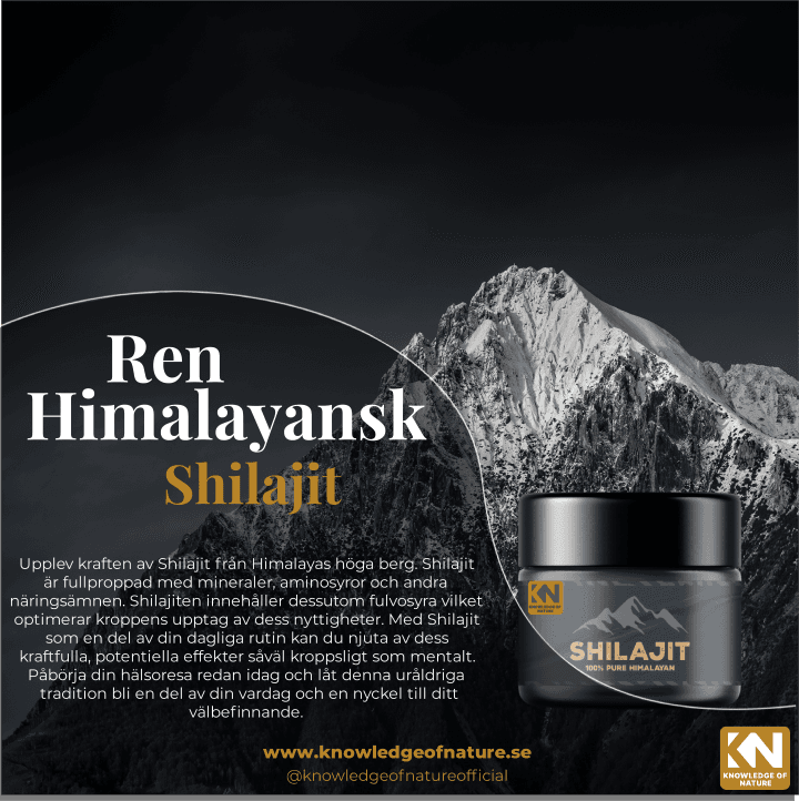 shilajit image